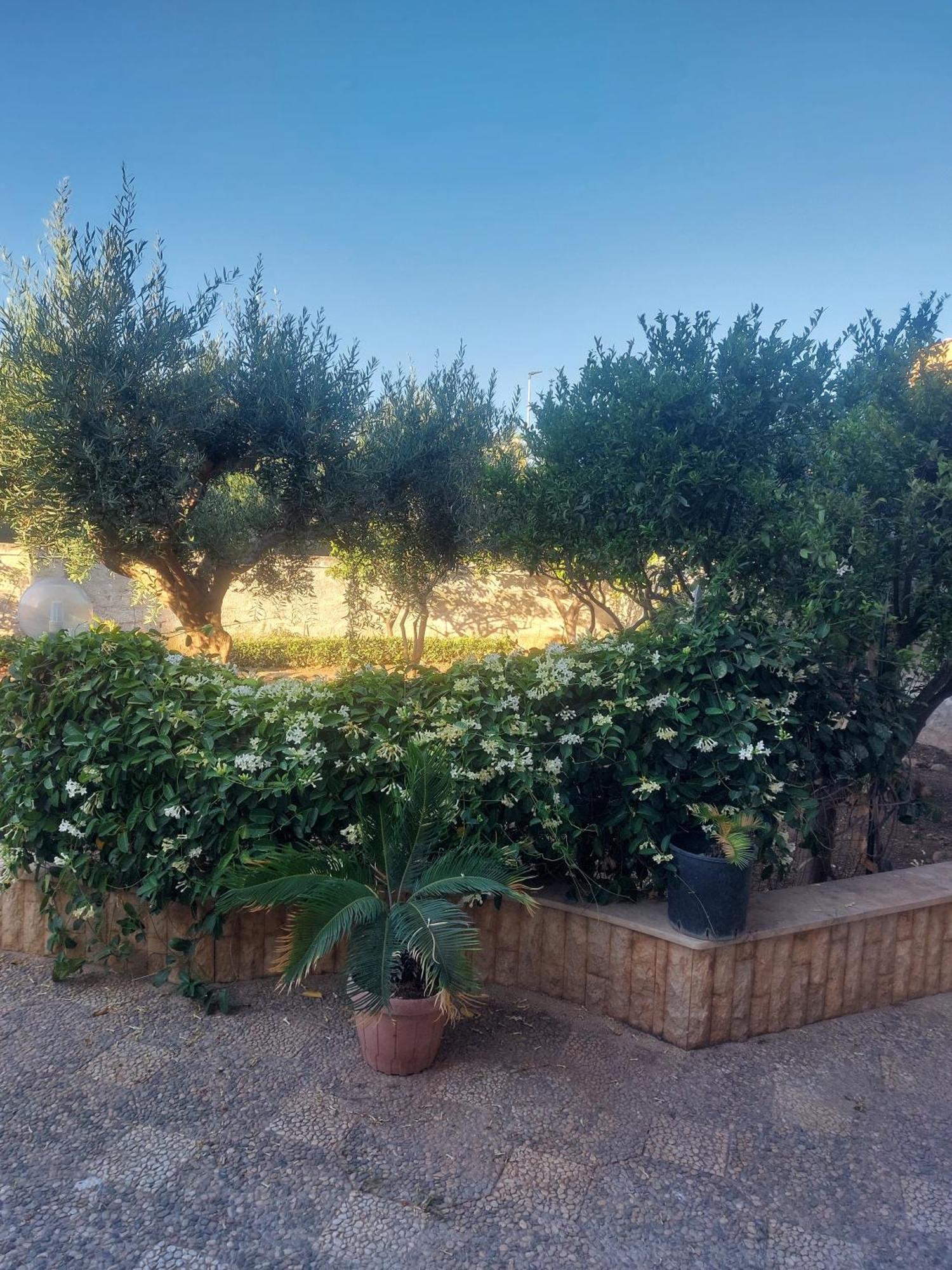 Alcantara Suites Trapani Esterno foto
